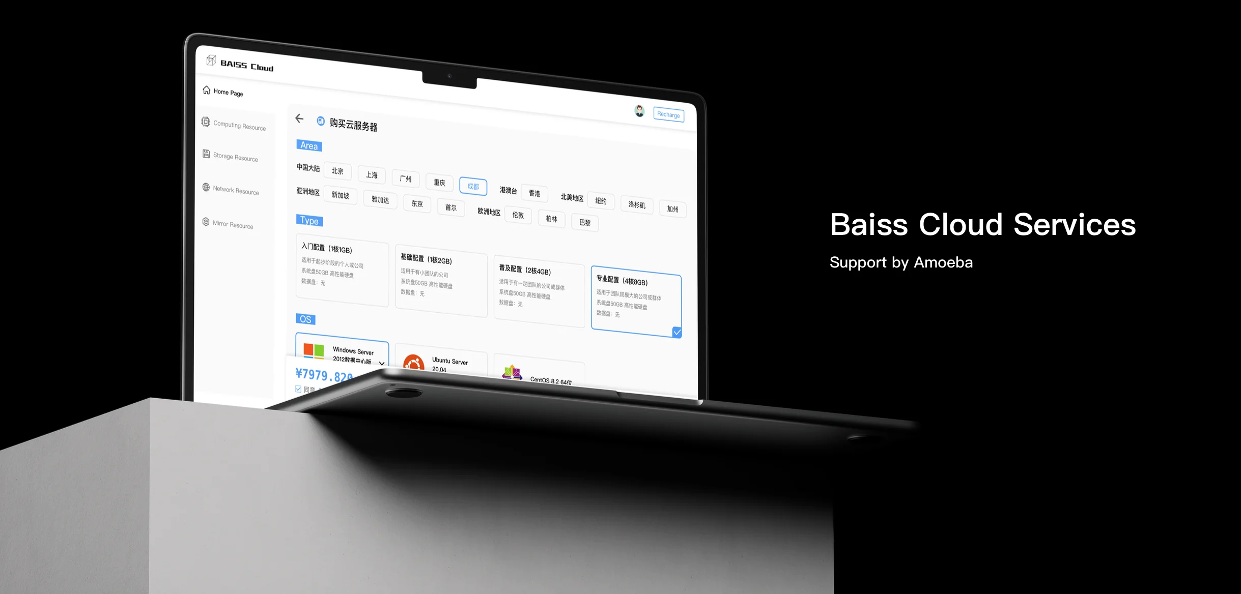 BAISS Cloud service configuration interface